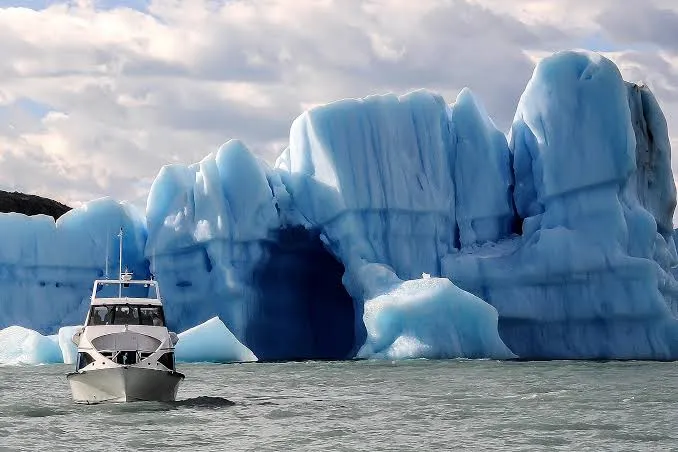 Calafate 